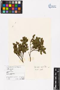 SW_BNB_s3070-06518_IMG-0000000001