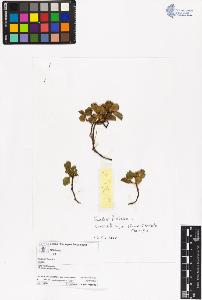 SW_BNB_s3070-06522_IMG-0000000001