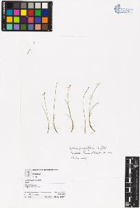 SW_BNB_s3070-06523_IMG-0000000001
