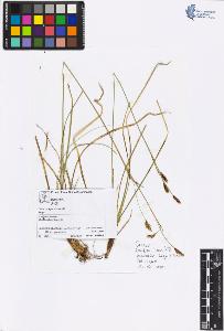 SW_BNB_s3070-06524_IMG-0000000001