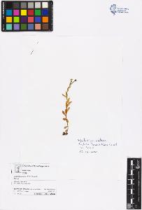 SW_BNB_s3070-06526_IMG-0000000001