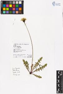 SW_BNB_s3070-06531_IMG-0000000001