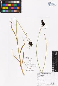 SW_BNB_s3070-06532_IMG-0000000001