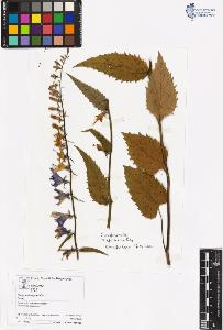 SW_BNB_s3070-06545_IMG-0000000001