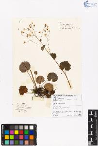 SW_BNB_s3070-06546_IMG-0000000001