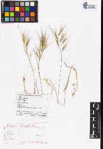 SW_BNB_s3070-06549_IMG-0000000001