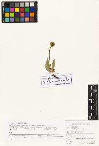 SW_BNB_s3070-06557_IMG-0000000001