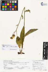 SW_BNB_s3070-06559_IMG-0000000001