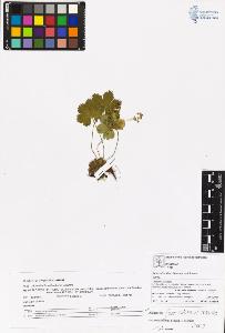 SW_BNB_s3070-06560_IMG-0000000001