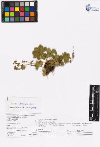 SW_BNB_s3070-06562_IMG-0000000001