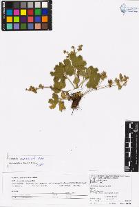 SW_BNB_s3070-06566_IMG-0000000001