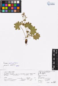 SW_BNB_s3070-06567_IMG-0000000001