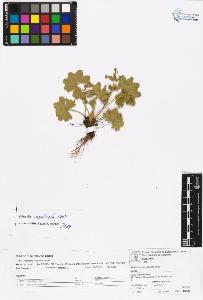SW_BNB_s3070-06568_IMG-0000000001