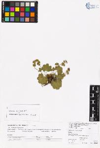 SW_BNB_s3070-06569_IMG-0000000001