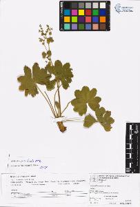 SW_BNB_s3070-06570_IMG-0000000001
