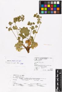 SW_BNB_s3070-06572_IMG-0000000001