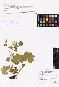 SW_BNB_s3070-06573_IMG-0000000001