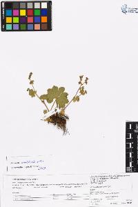 SW_BNB_s3070-06574_IMG-0000000001