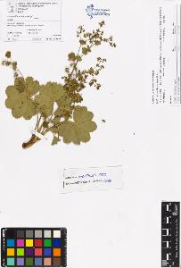 SW_BNB_s3070-06576_IMG-0000000001