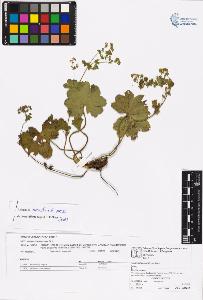 SW_BNB_s3070-06577_IMG-0000000001