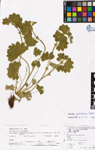 SW_BNB_s3070-06578_IMG-0000000001