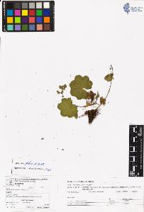 SW_BNB_s3070-06579_IMG-0000000001
