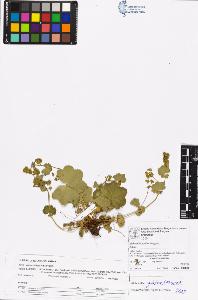 SW_BNB_s3070-06580_IMG-0000000001