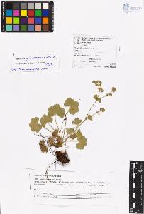 SW_BNB_s3070-06586_IMG-0000000001