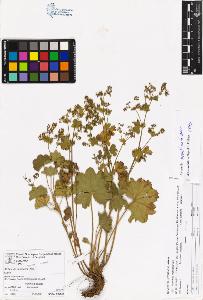 SW_BNB_s3070-06588_IMG-0000000001