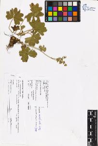 SW_BNB_s3070-06590_IMG-0000000001