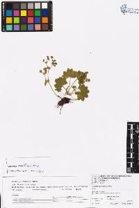 SW_BNB_s3070-06591_IMG-0000000001