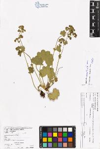 SW_BNB_s3070-06593_IMG-0000000001