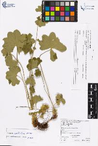 SW_BNB_s3070-06594_IMG-0000000001
