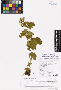 SW_BNB_s3070-06595_IMG-0000000001