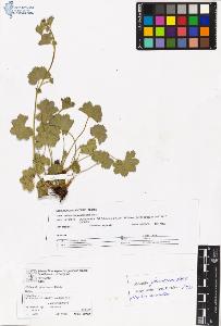 SW_BNB_s3070-06596_IMG-0000000001
