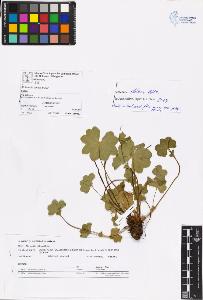 SW_BNB_s3070-06597_IMG-0000000001