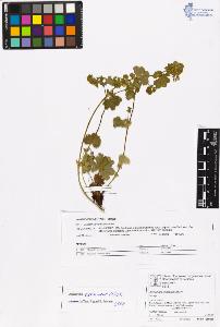 SW_BNB_s3070-06598_IMG-0000000001