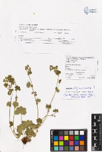 SW_BNB_s3070-06600_IMG-0000000001