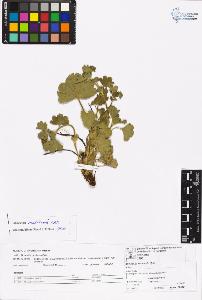 SW_BNB_s3070-06601_IMG-0000000001