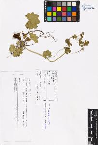 SW_BNB_s3070-06602_IMG-0000000001