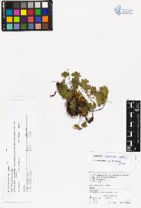 SW_BNB_s3070-06605_IMG-0000000001