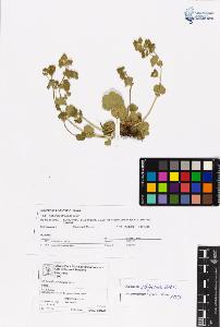SW_BNB_s3070-06608_IMG-0000000001