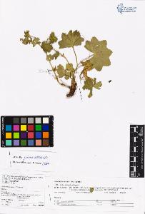 SW_BNB_s3070-06609_IMG-0000000001