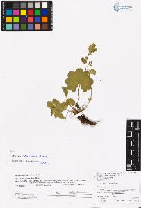 SW_BNB_s3070-06610_IMG-0000000001