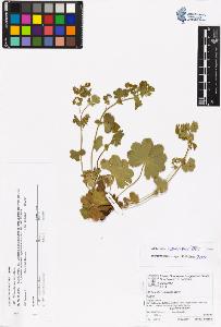 SW_BNB_s3070-06611_IMG-0000000001