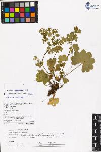 SW_BNB_s3070-06612_IMG-0000000001