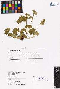 SW_BNB_s3070-06616_IMG-0000000001