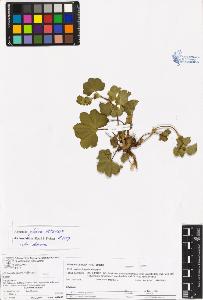 SW_BNB_s3070-06618_IMG-0000000001