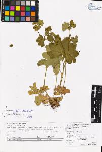 SW_BNB_s3070-06619_IMG-0000000001