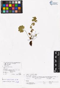 SW_BNB_s3070-06620_IMG-0000000001